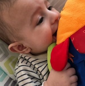 Meet your Posher, Bonnie